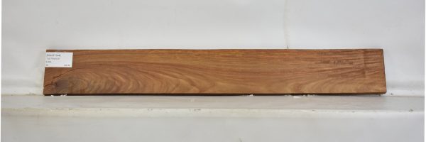 KIAAT1144_2