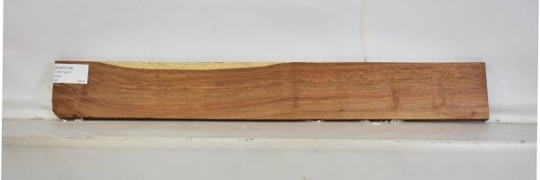 KIAAT1145_2