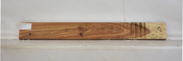KIAAT1146_2
