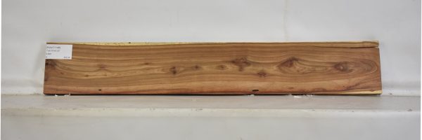 KIAAT1148_1
