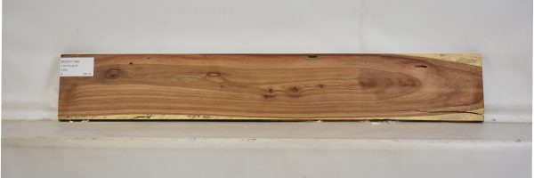 KIAAT1148_2