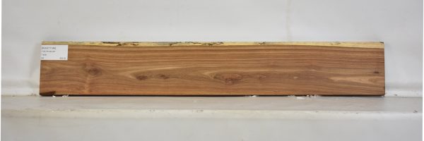 KIAAT1149_1
