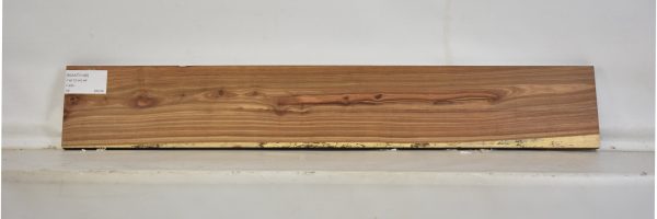 KIAAT1149_2