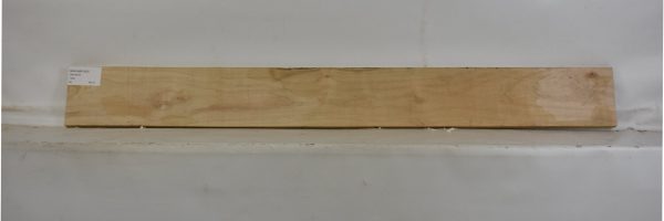 MAPAMB1063_2