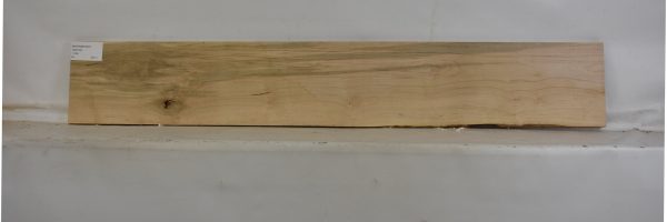 MAPAMB1067_1