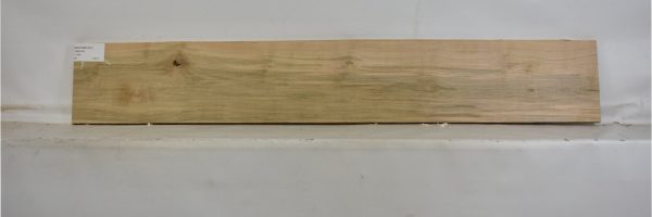 MAPAMB1067_2