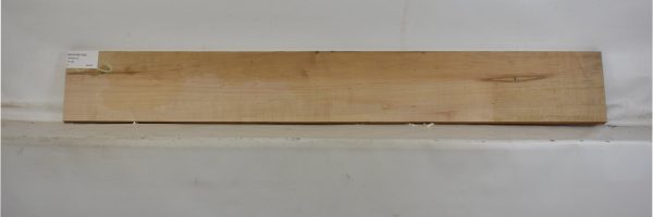 MAPAMB1068_2