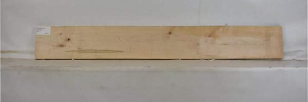 MAPAMB1073_2