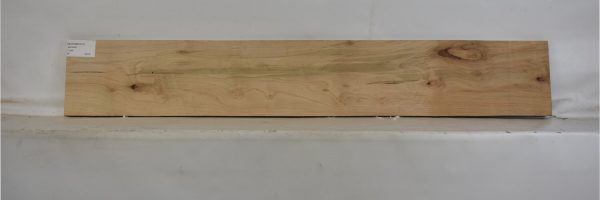 MAPAMB1075_2