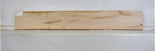 MAPAMB1076_1