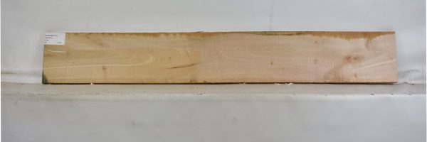 MAPAMB1077_2