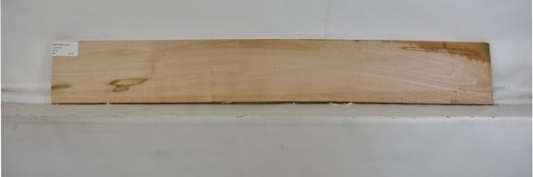 MAPAMB1078_2