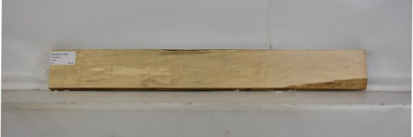 MAPBEH1329_1