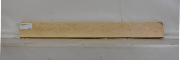 MAPBEH1331_1