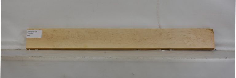 MAPBEH1331_1