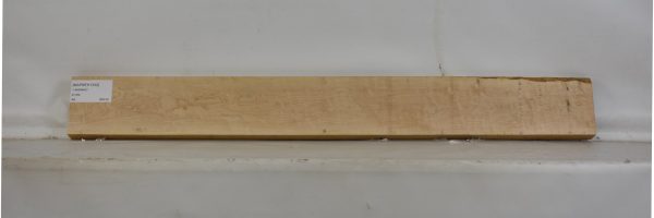 MAPBEH1332_2