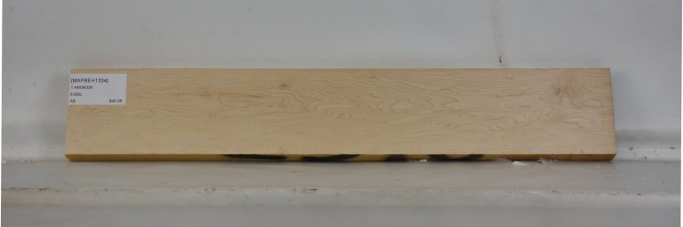 MAPBEH1334_1