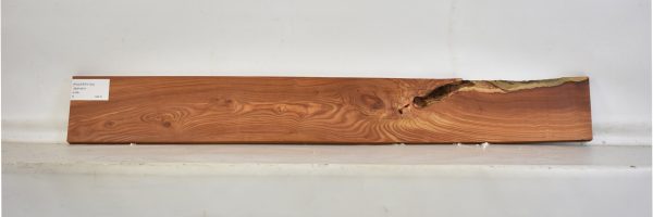 PAUFER1103_2