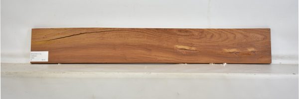 PAUFER1113_2