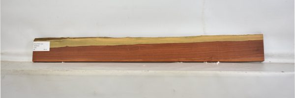PAUFER1120_2