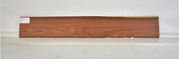 PAUFER1130_2