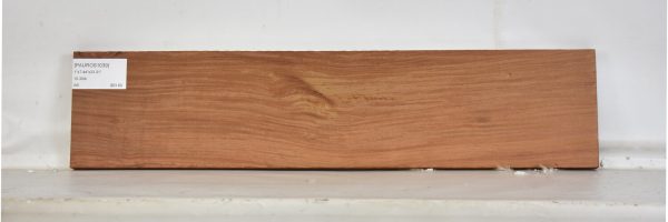 PAUROS1039_1