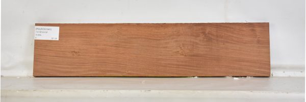 PAUROS1041_2