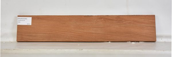 PAUROS1042_2