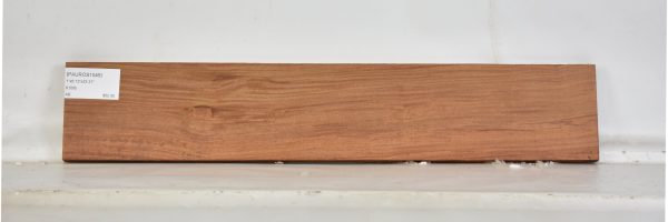 PAUROS1045_1