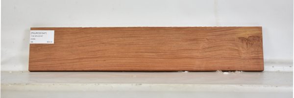 PAUROS1047_1