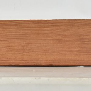PAUROS1048_1