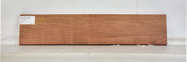 PAUROS1049_1