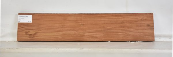 PAUROS1049_2