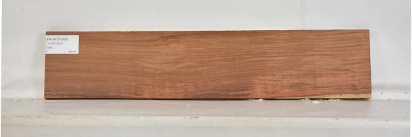 PAUROS1050_2