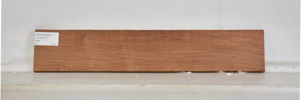 PAUROS1051_1