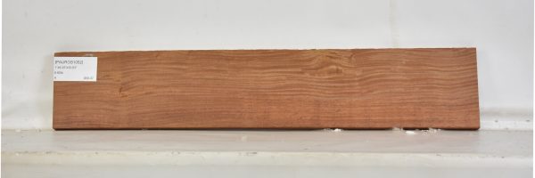 PAUROS1052_1