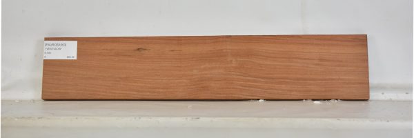 PAUROS1053_2