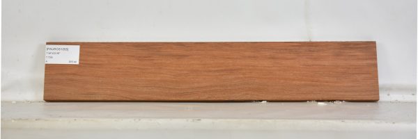 PAUROS1055_2