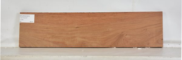 PAUROS1057_2
