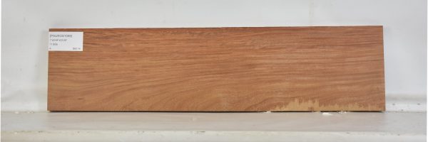 PAUROS1059_2