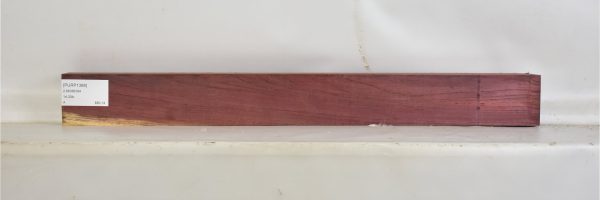 PURP1388_1