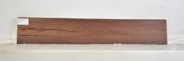 ROSEHOND1046_2
