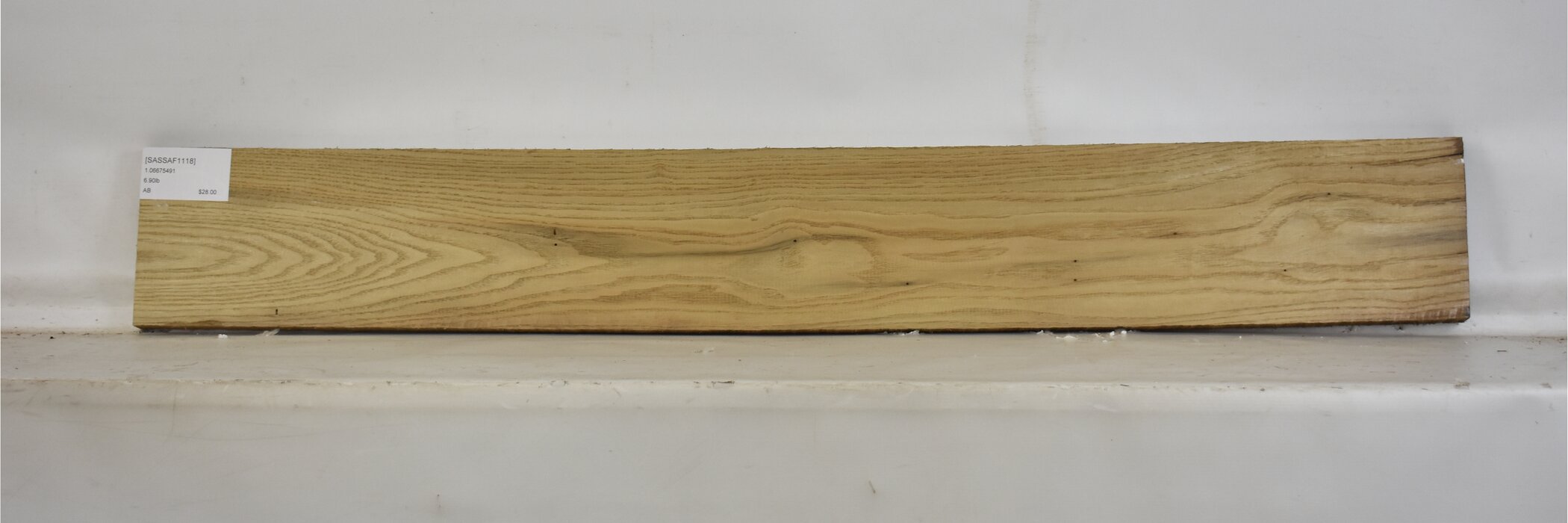 Sassafras 2 SASSAF1118_2