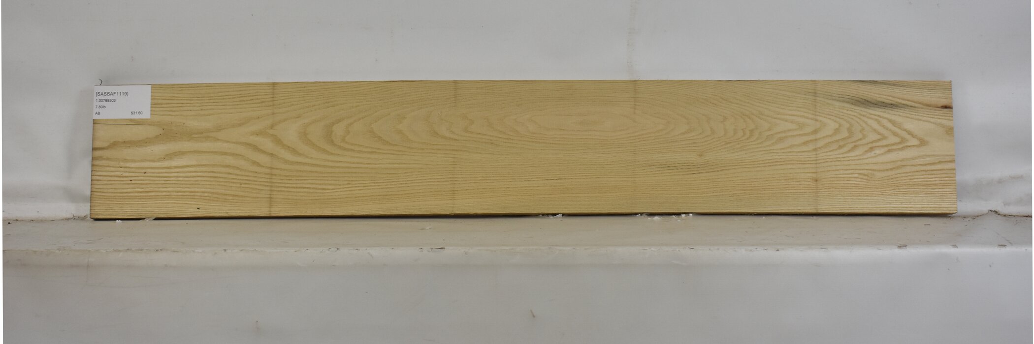 Sassafras 2 SASSAF1119_2