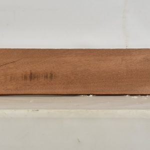 SIPO1100_1