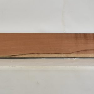 SIPO1101_1