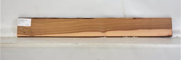 TEAKZAM1173_1