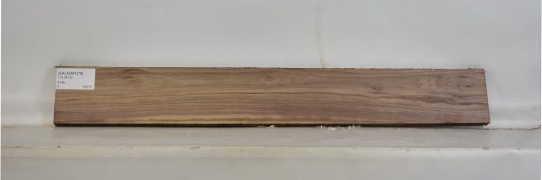 WALNAM1279_2