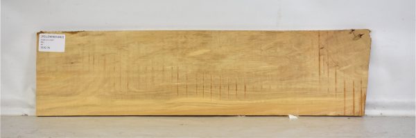 YELLOWWD1042_1