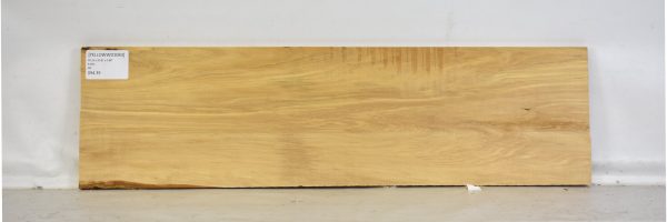 YELLOWWD1043_2